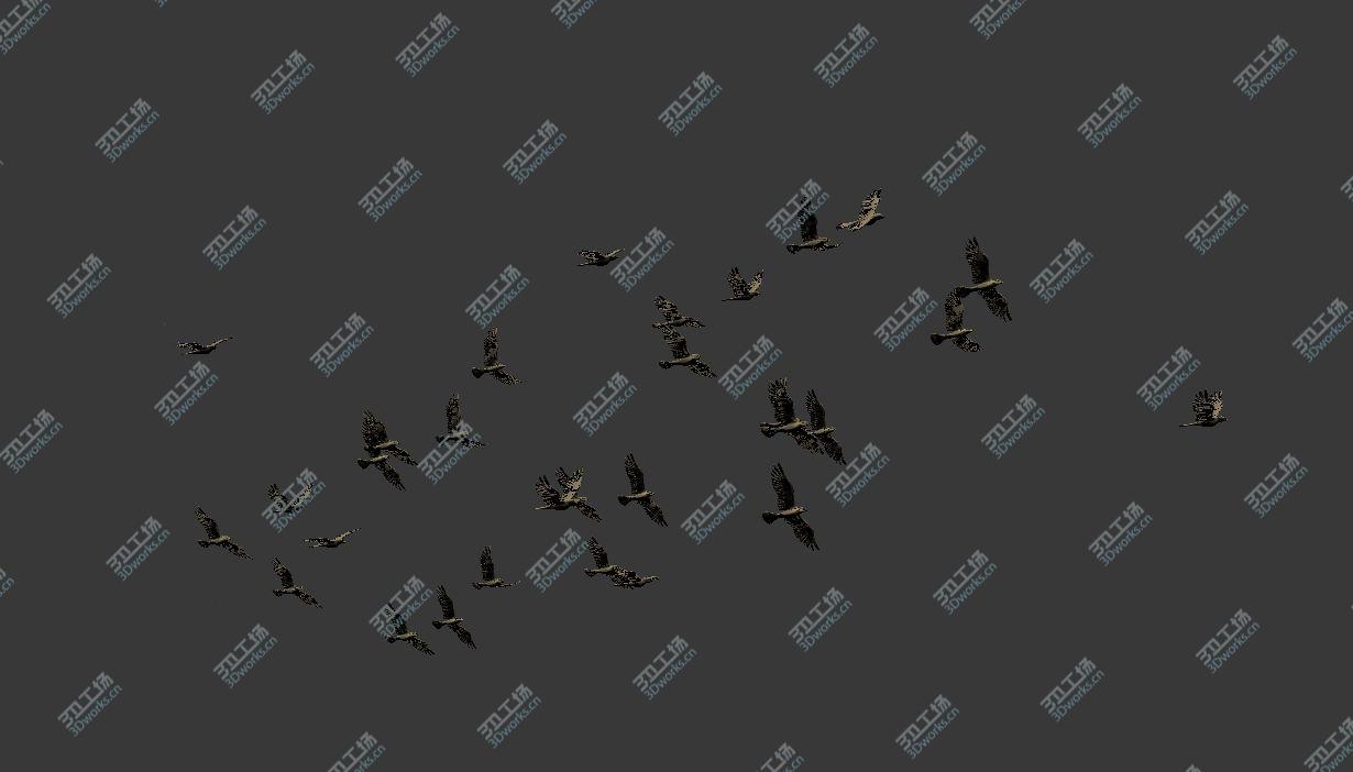 images/goods_img/2021040233/Realistic animated flying bird flock/3.jpg